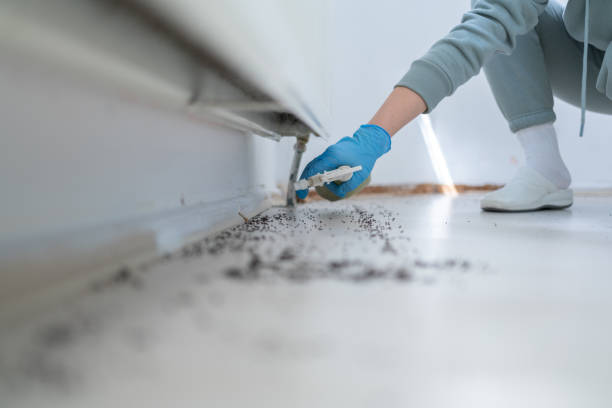 Wildlife Control Services in Corbin, KY